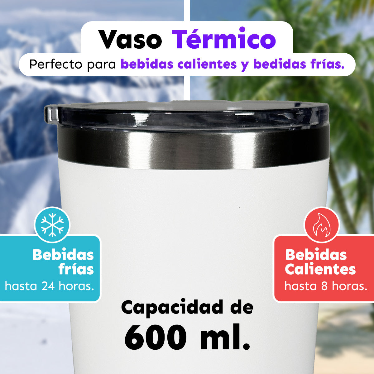 CAJA CON 12 VASOS TÉRMICOS CON TAPA 20 oz
