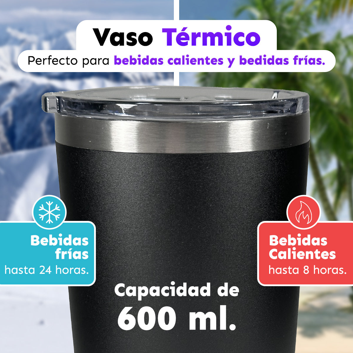 CAJA CON 12 VASOS TÉRMICOS CON TAPA 20 oz